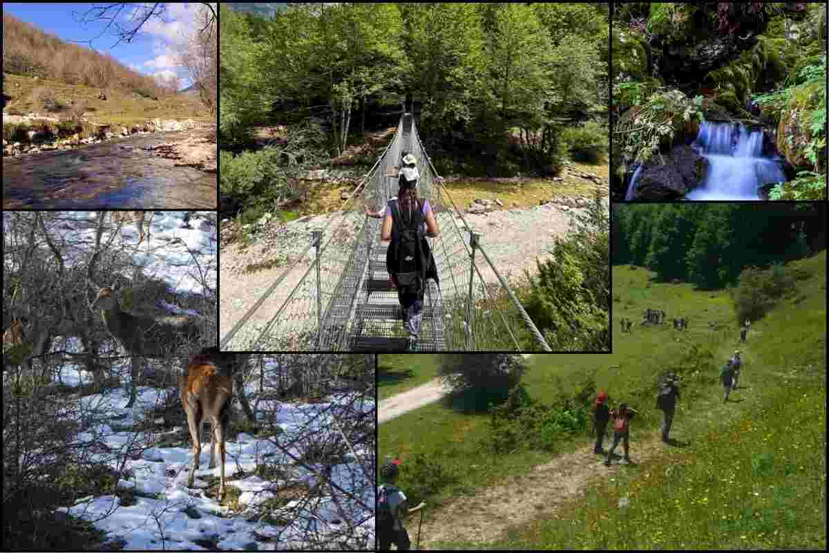 Avventura nel Parco Nazionale d'Abruzzo