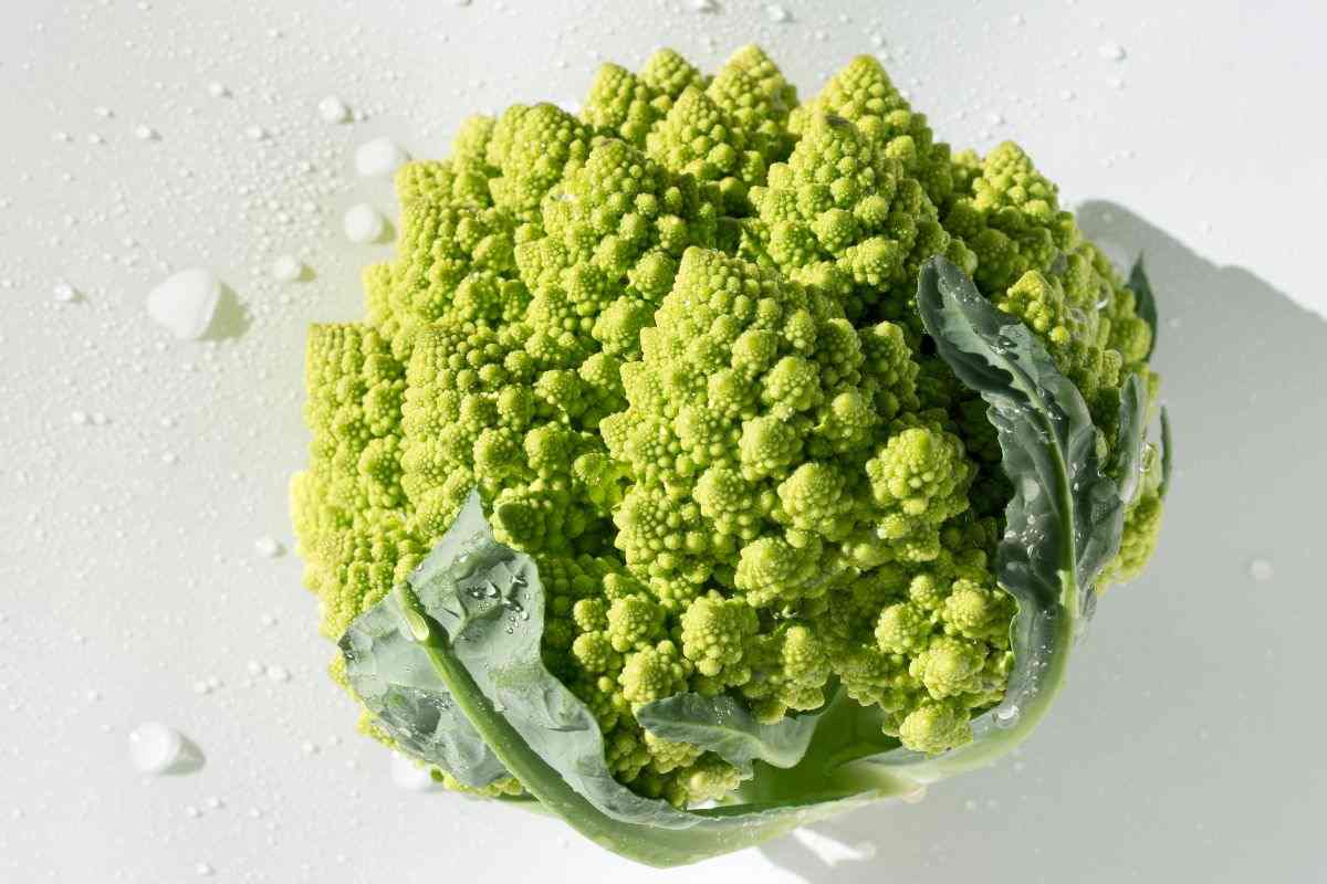 Broccolo romanesco 