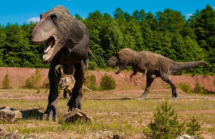 Dinosauri non erano così longevi