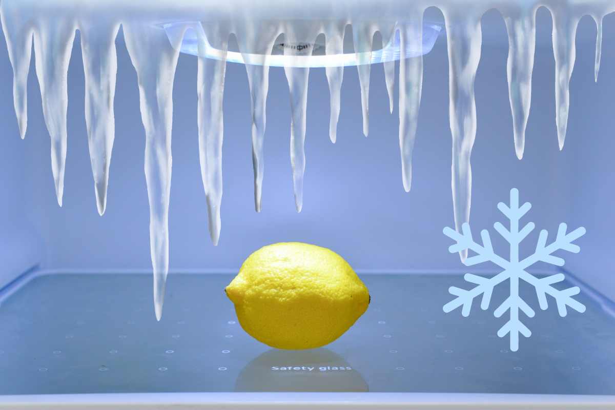 Limone congelato