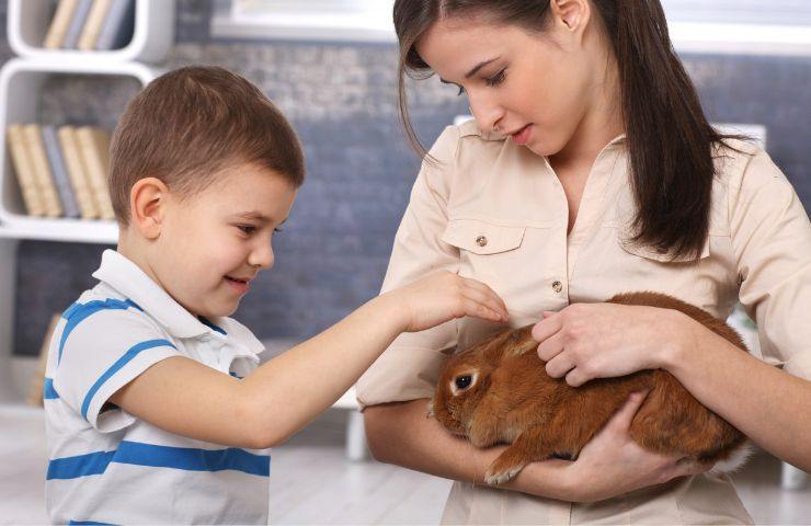 Mamma e bimbo accudiscono un coniglio marrone