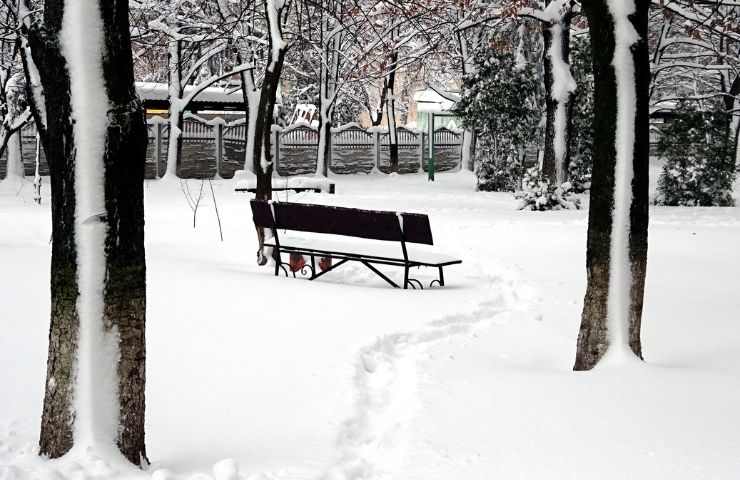 Neve nel parco 