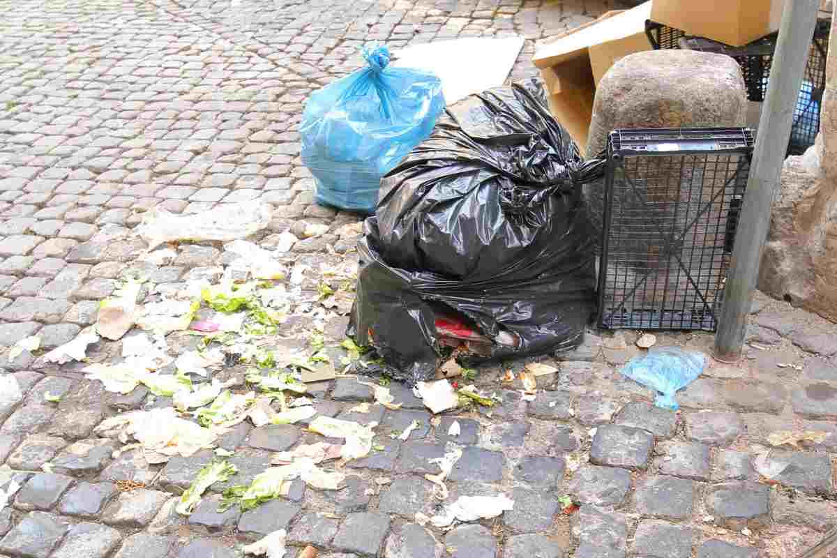 Sacchi spazzatura abbandonati in strada