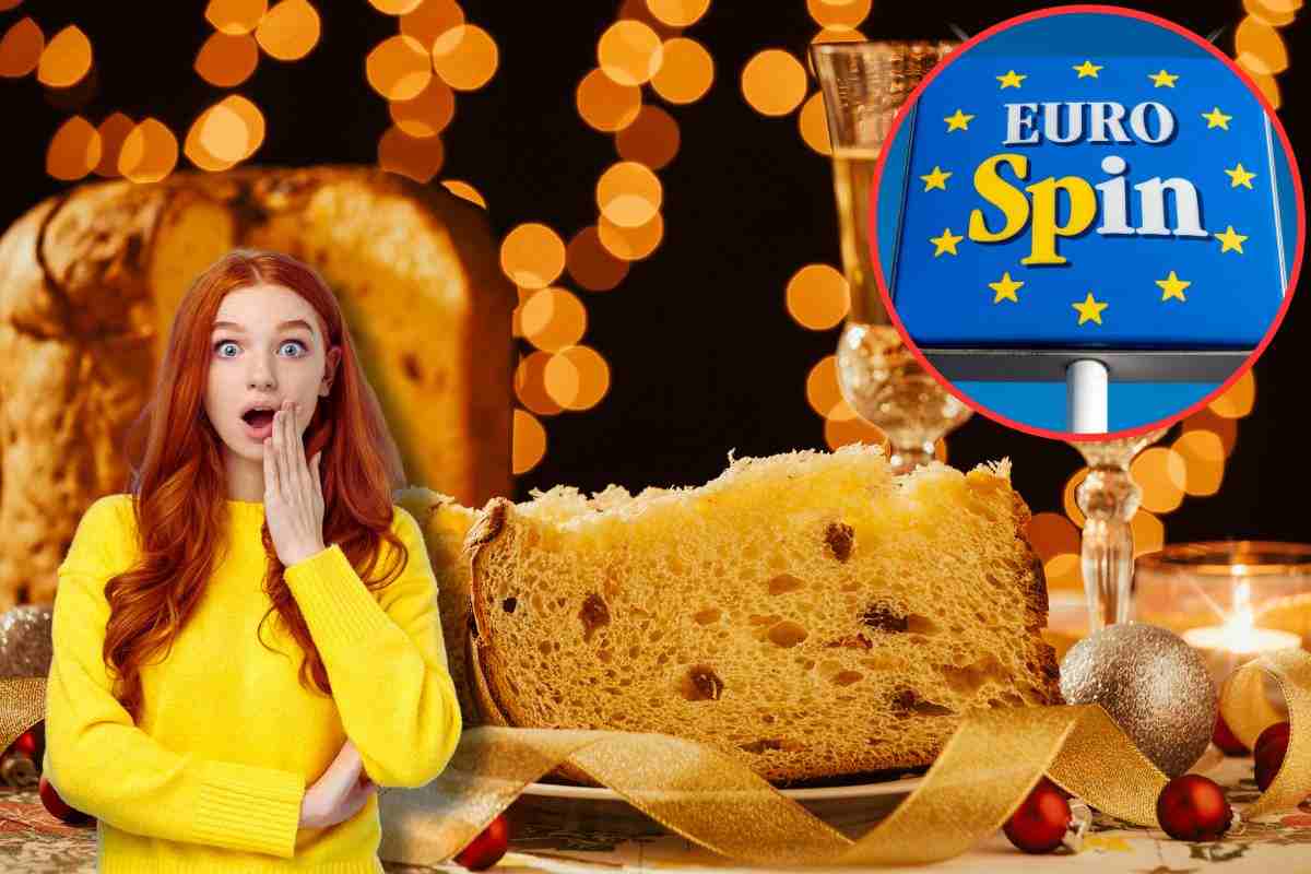 produttore panettone eurospin