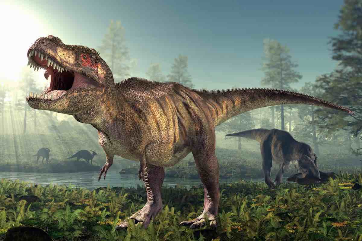 tirannosauro scoperto fossile con ultimo pasto