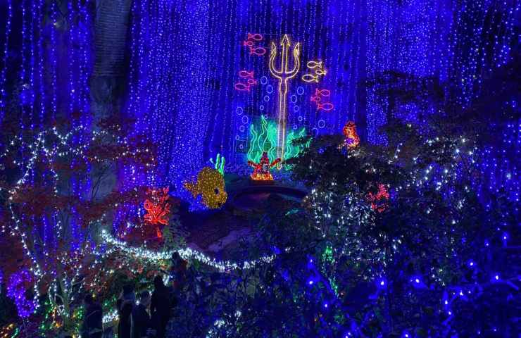 luminarie di ariccia