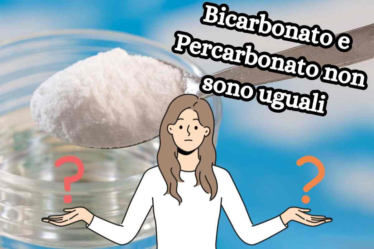 differenze bicarbonato percarbonato