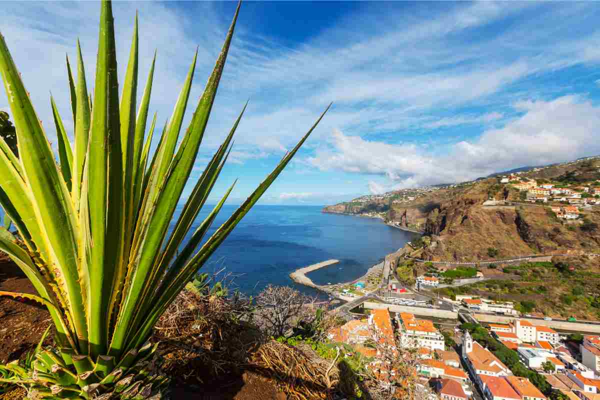 madeira isola dov'è sempre primavera