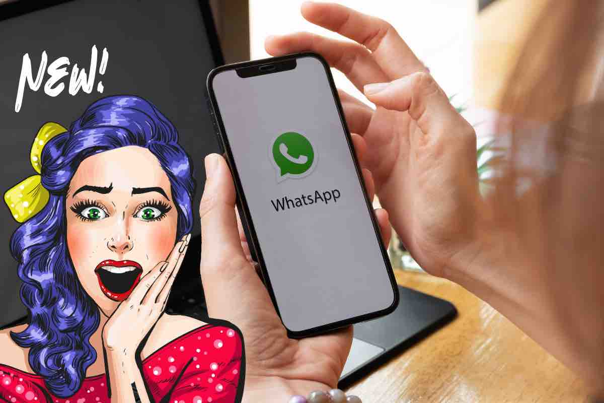 whatsapp novità