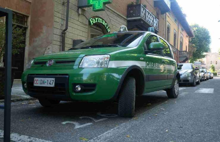 Carabinieri forestali